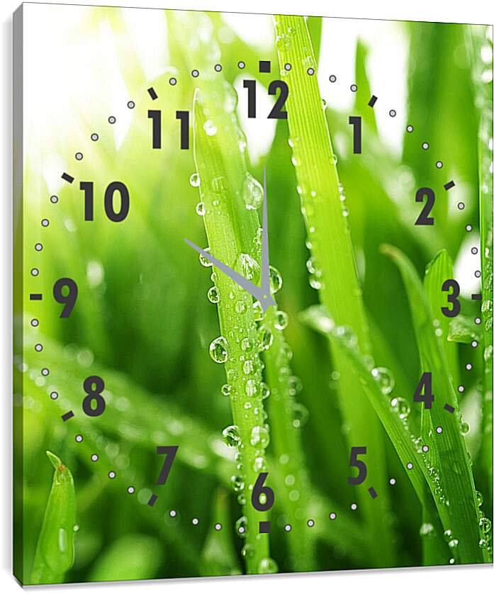Часы картина - Капельки росы на траве