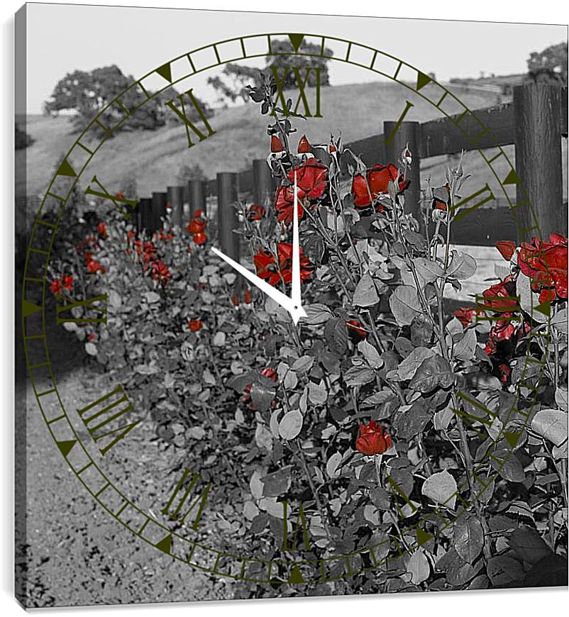 Часы картина - Куст роз