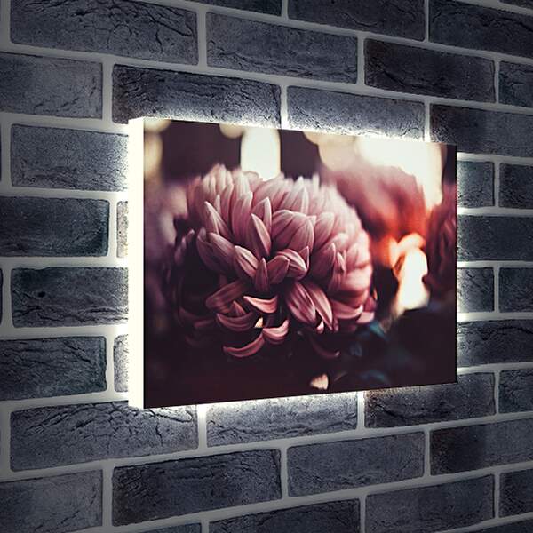 Лайтбокс световая панель - Нежный цветок