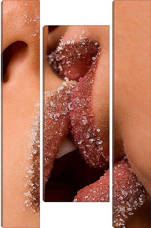 Модульная картина - Сахарный поцелуй