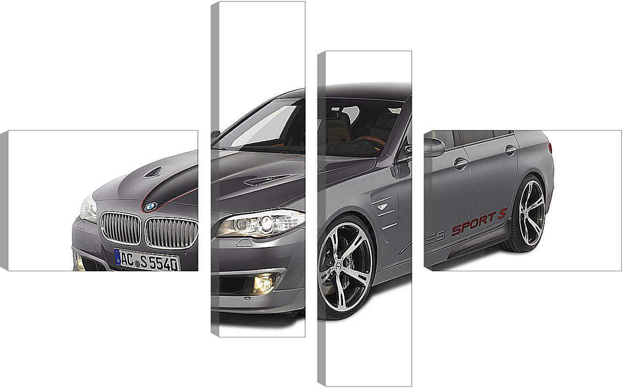 Модульная картина - BMW Schnitzer