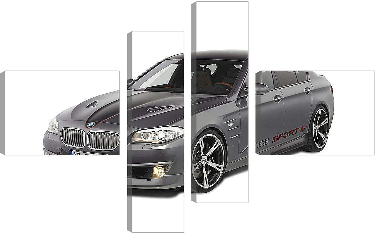 Модульная картина - BMW Schnitzer
