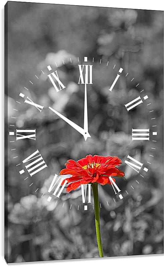 Часы картина - Красная Гербера