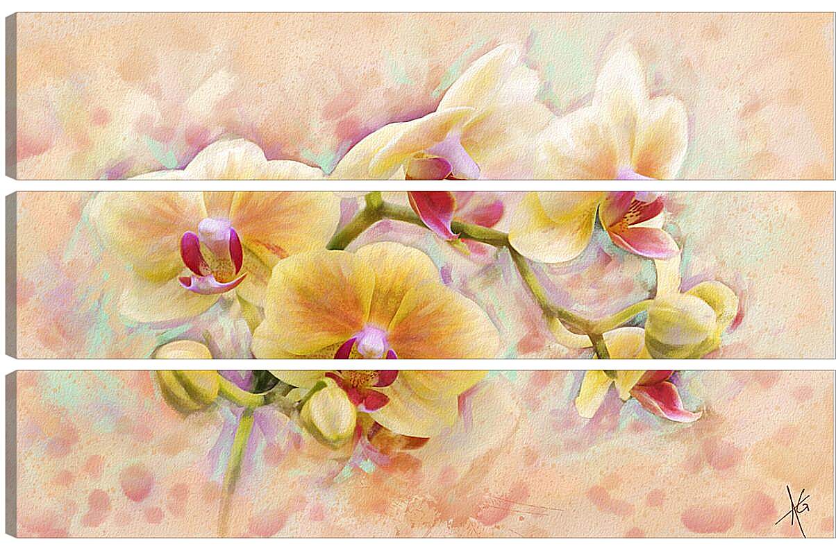 Модульная картина - Орхидеи
