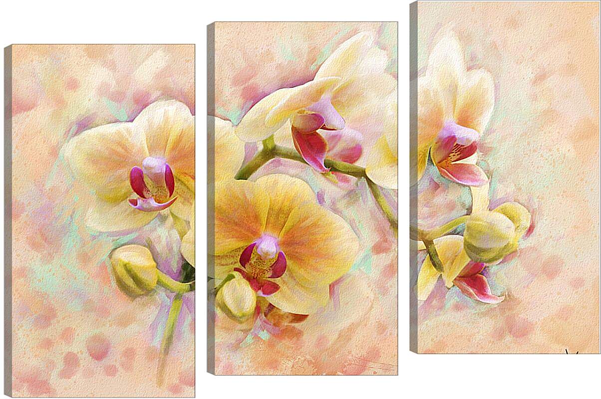 Модульная картина - Орхидеи