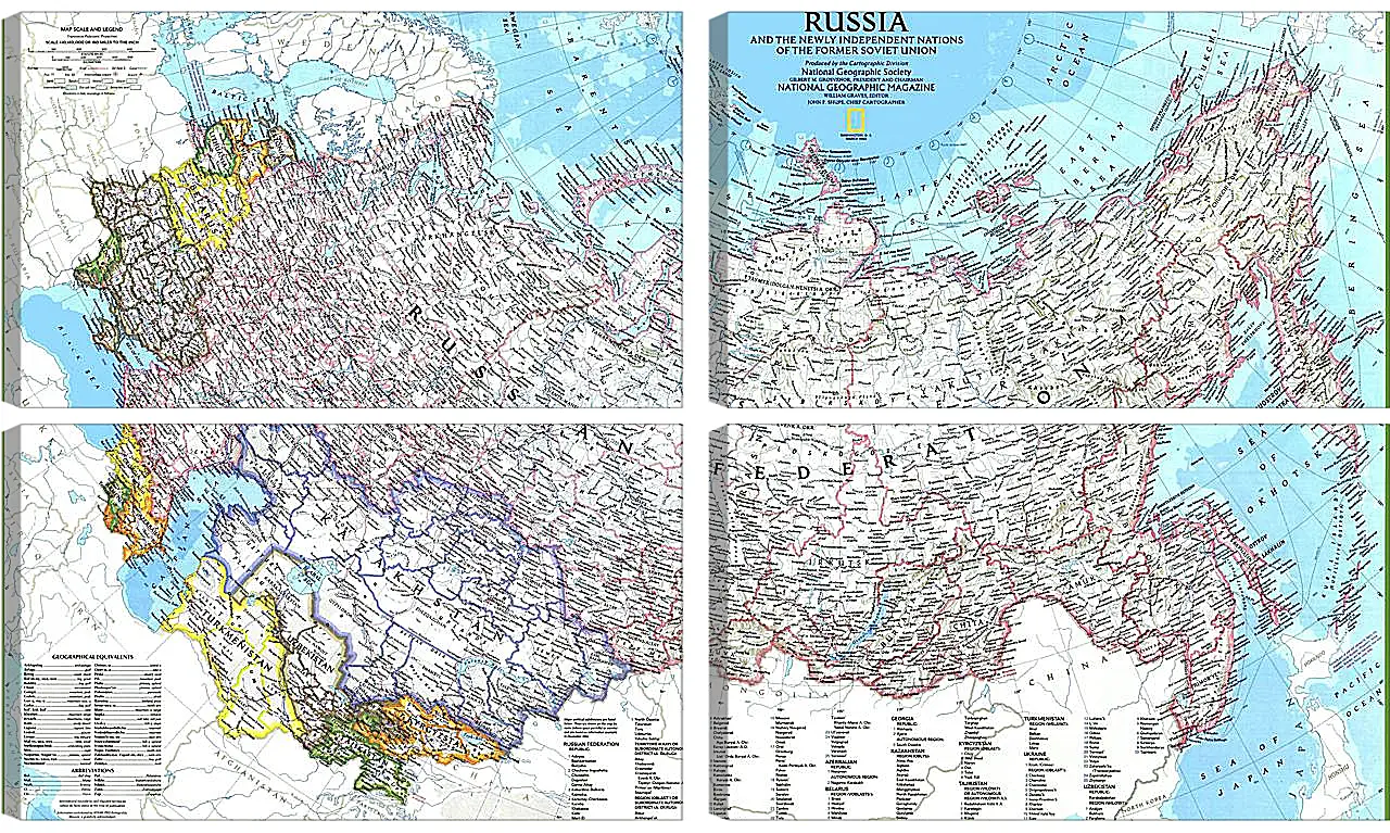 Модульная картина - Карта России