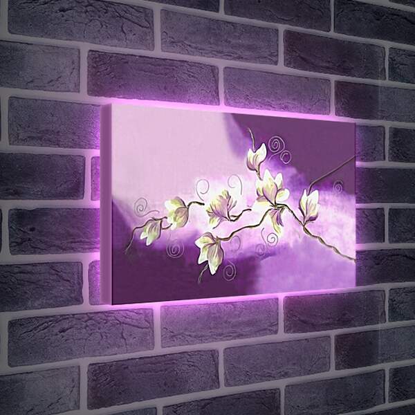 Лайтбокс световая панель - Орхидея