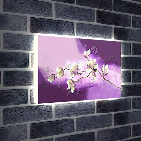 Лайтбокс световая панель - Орхидея