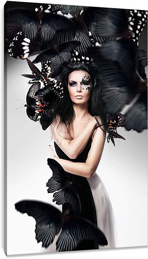 Постер и плакат - Черная бабочка