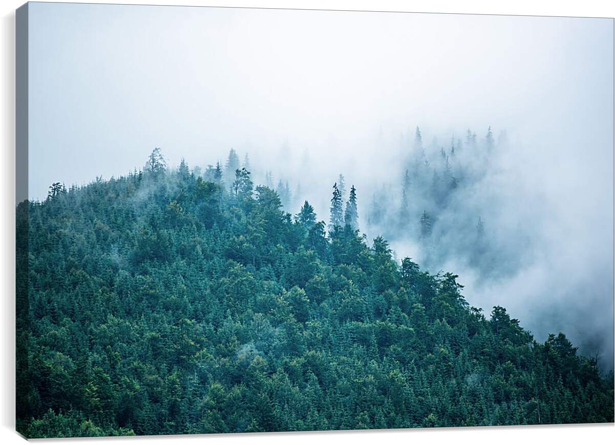 Постер и плакат - Туман в горах