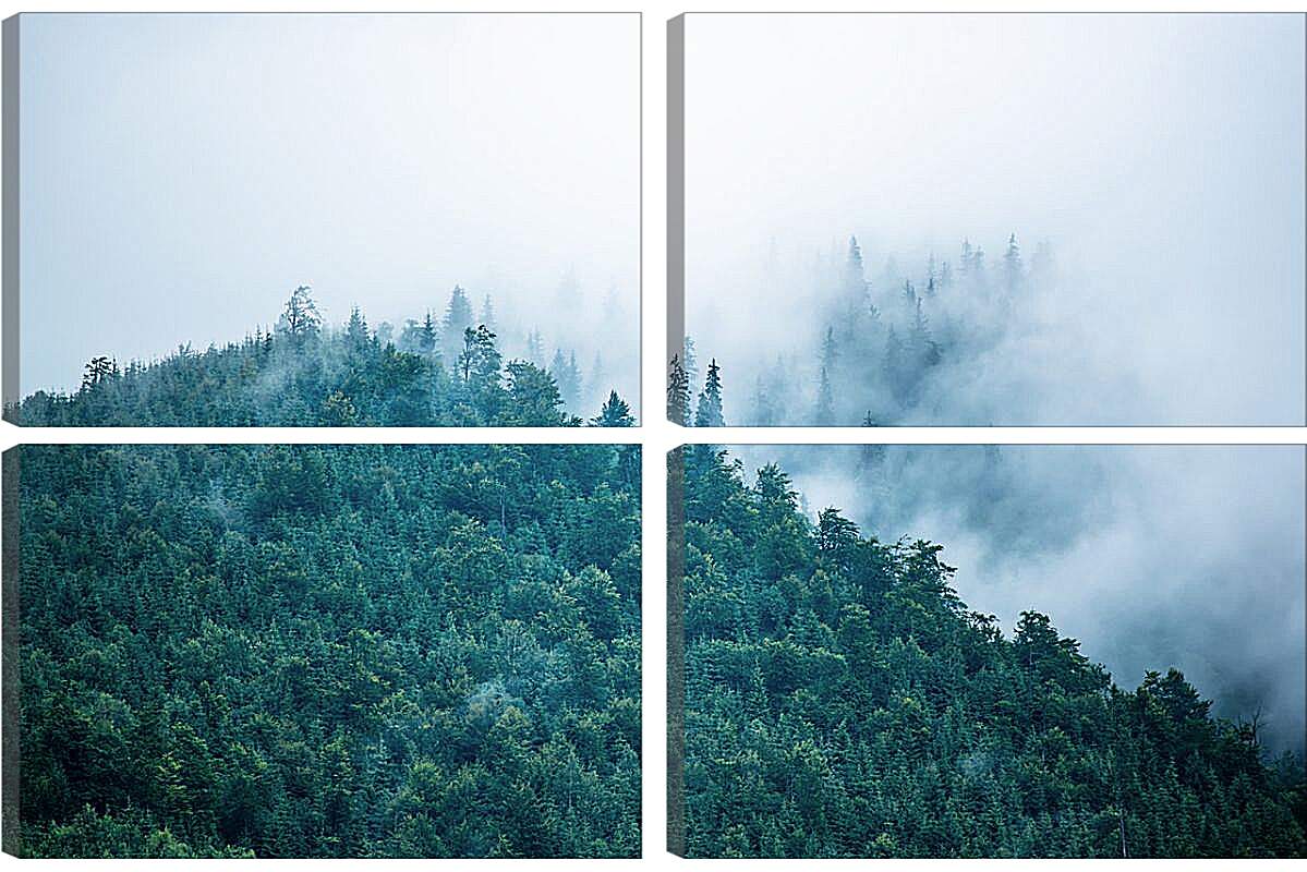 Модульная картина - Туман в горах