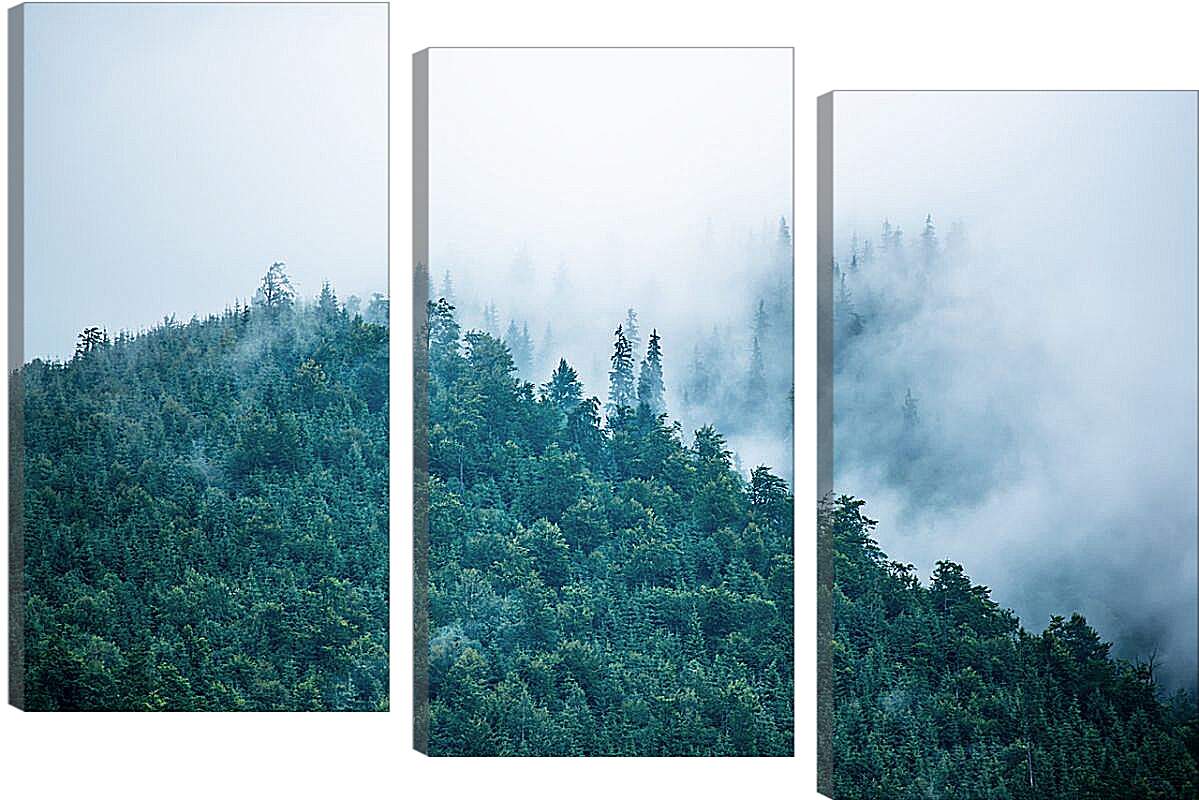 Модульная картина - Туман в горах
