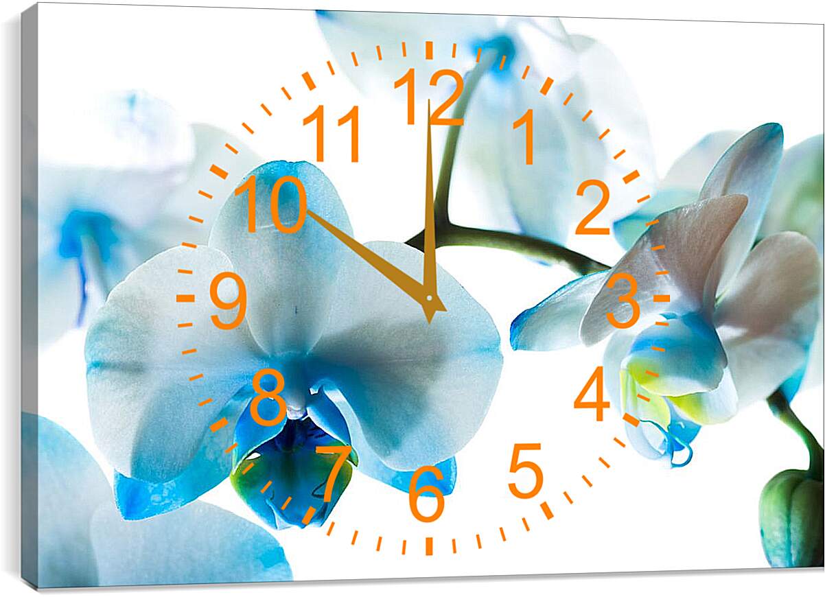 Часы картина - Бело-голубые орхидеи