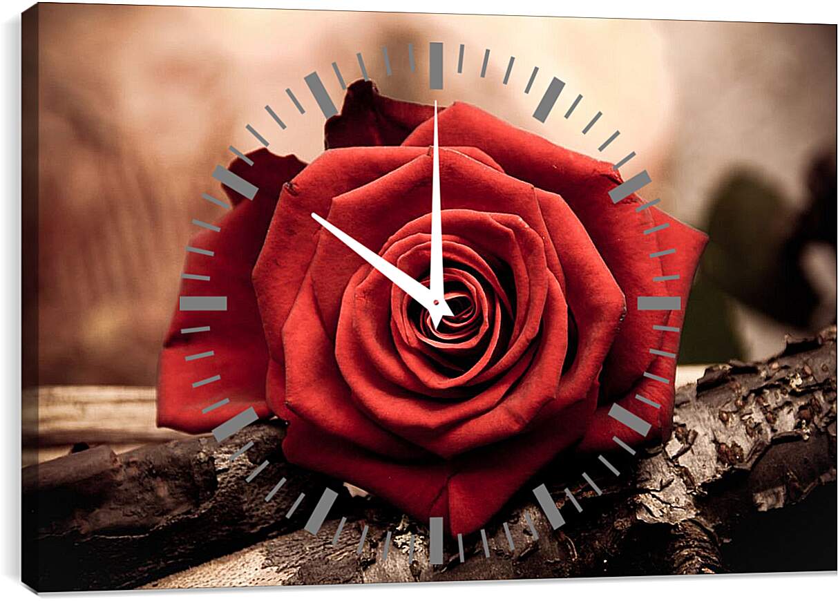 Часы картина - Роза на дереве