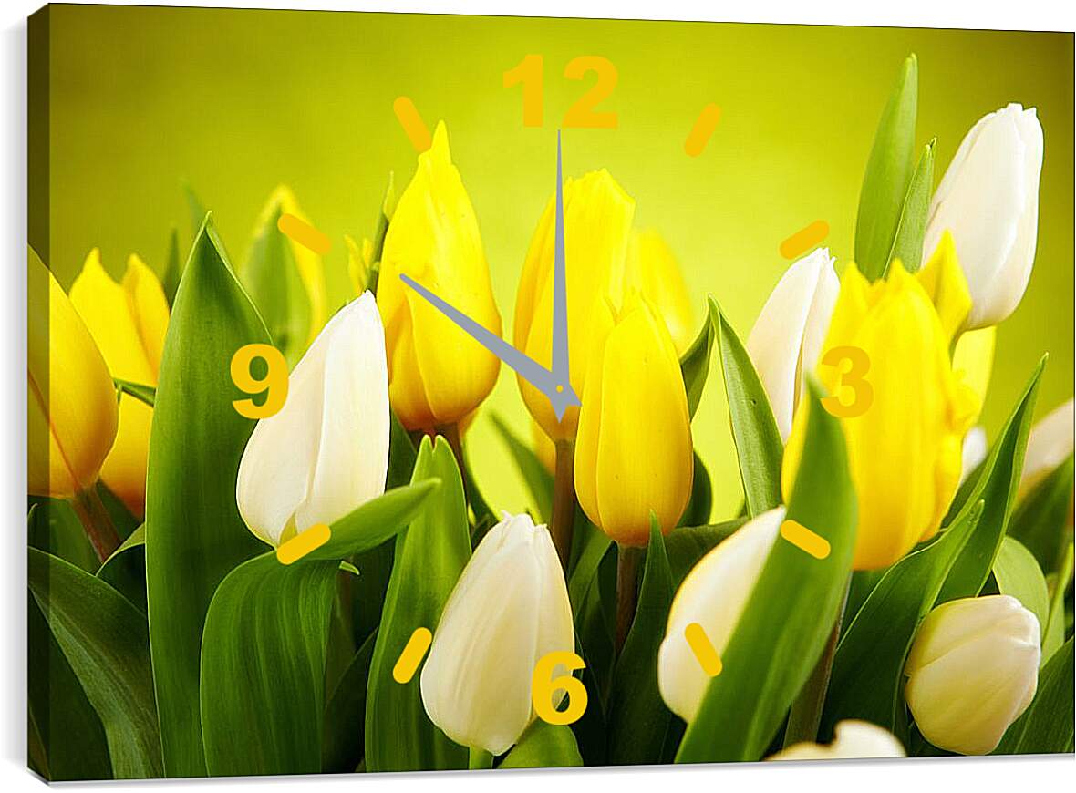 Часы картина - Белые и желтые тюльпаны
