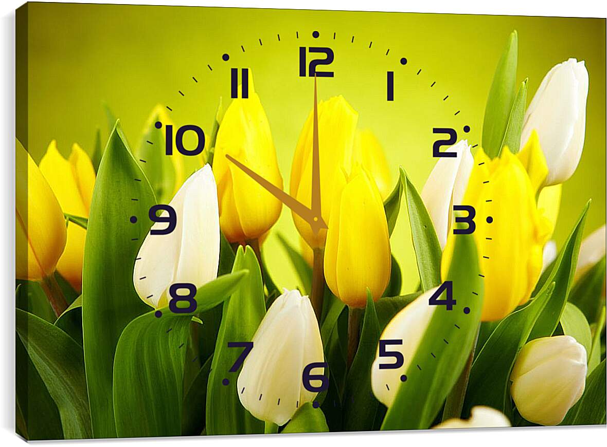 Часы картина - Белые и желтые тюльпаны