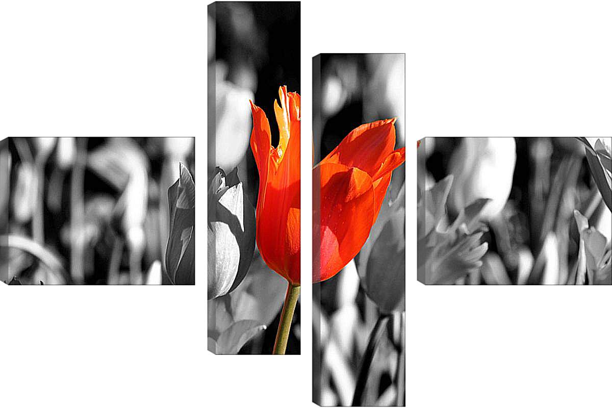 Модульная картина - Красный тюльпан