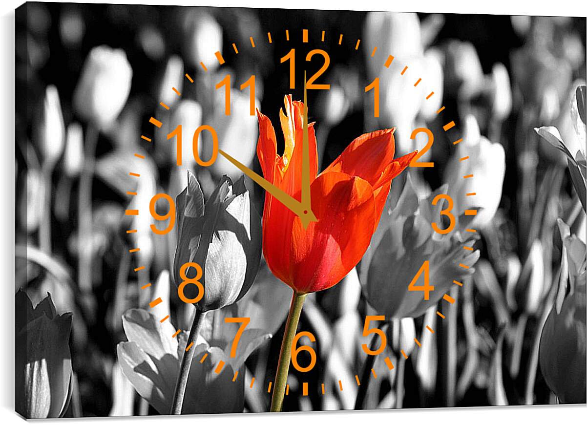 Часы картина - Красный тюльпан