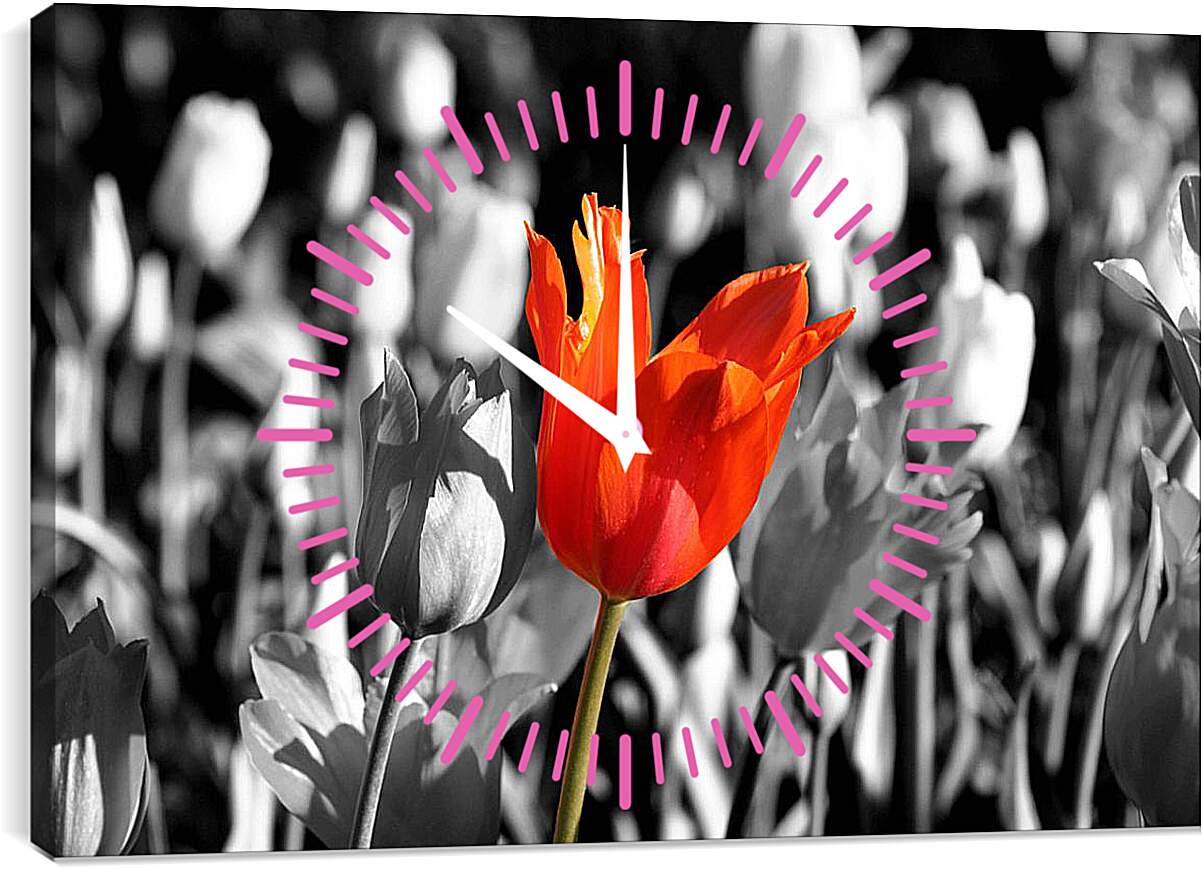 Часы картина - Красный тюльпан