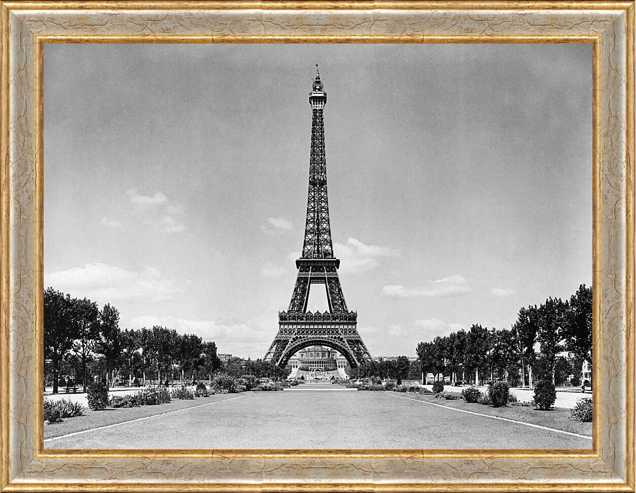 Картина в раме - Парк Парижа