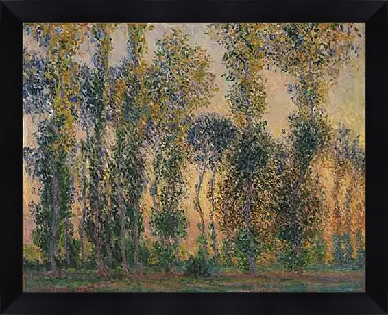 Картина в раме - Poplars at Giverny, Sunrise. Клод Моне