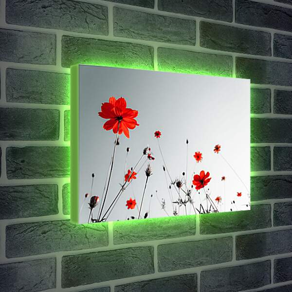 Лайтбокс световая панель - Красные цветы