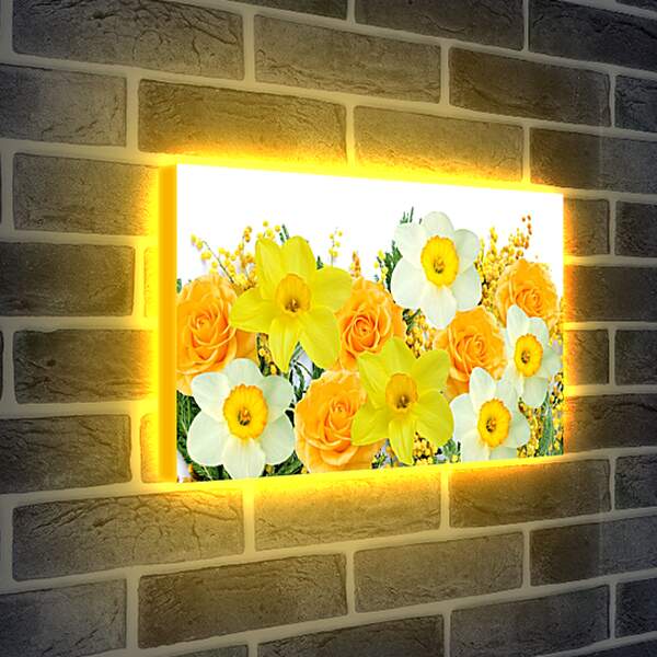Лайтбокс световая панель - Нарциссы и желтые розы