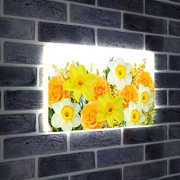 Лайтбокс световая панель - Нарциссы и желтые розы