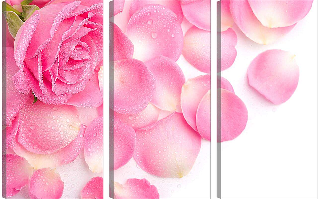 Модульная картина - Роза и лепестки