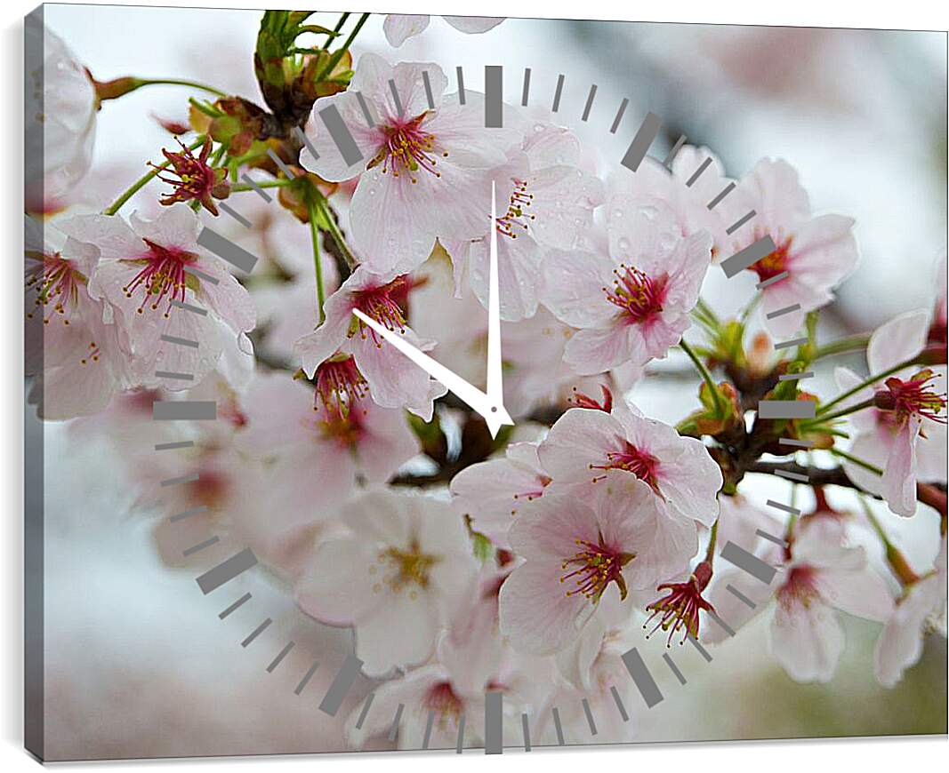 Часы картина - Весенний цвет