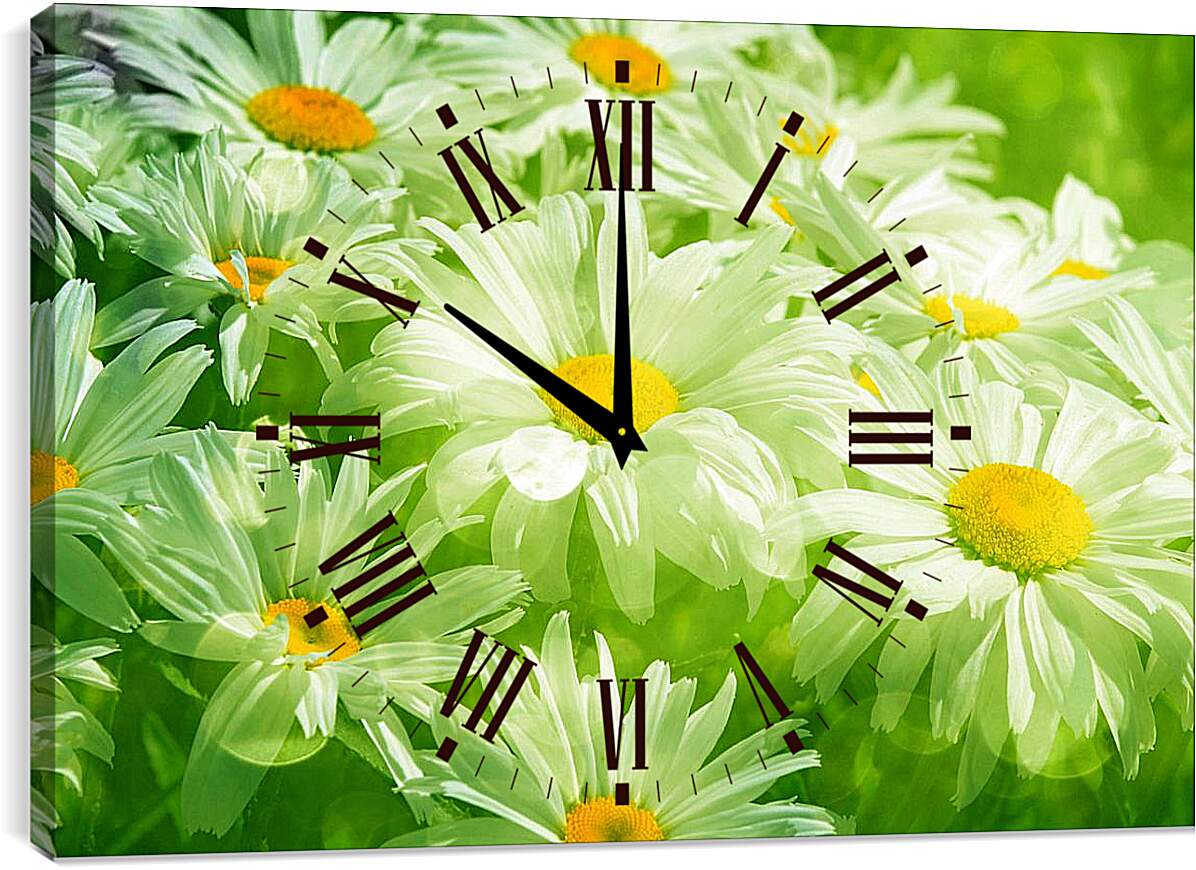 Часы картина - Ромашки в траве