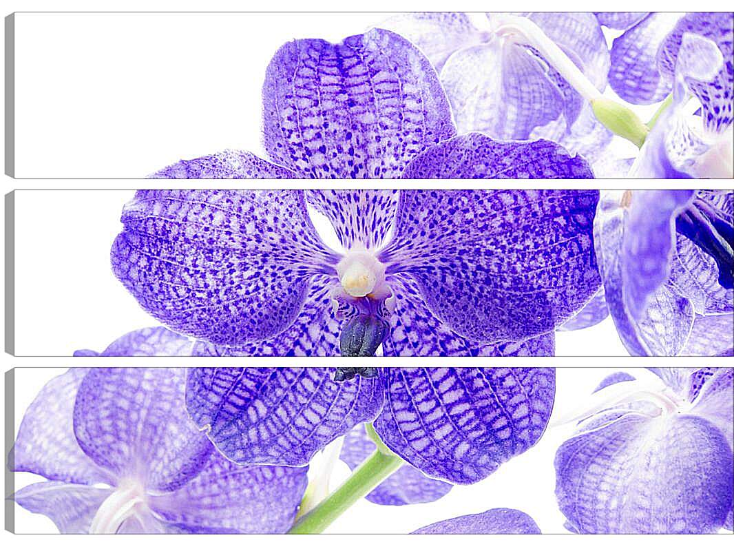 Модульная картина - Фиолетовые цветы
