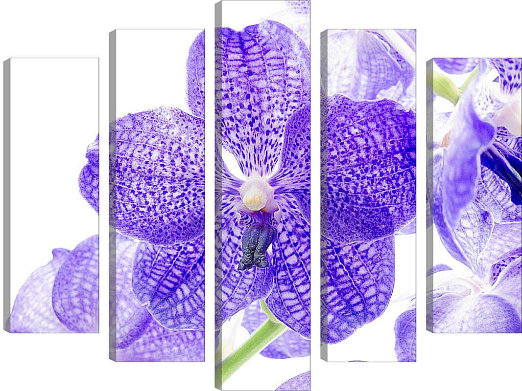 Модульная картина - Фиолетовые цветы