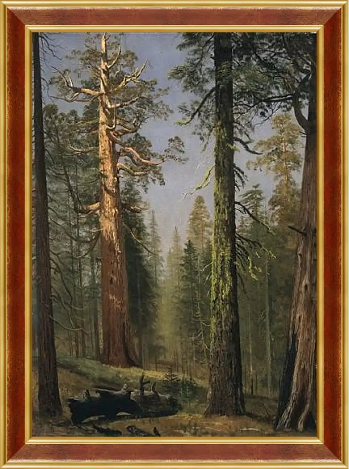 Картина в раме - The Grizzly Giant Sequoia, Mariposa Grove, California. Альберт Бирштадт