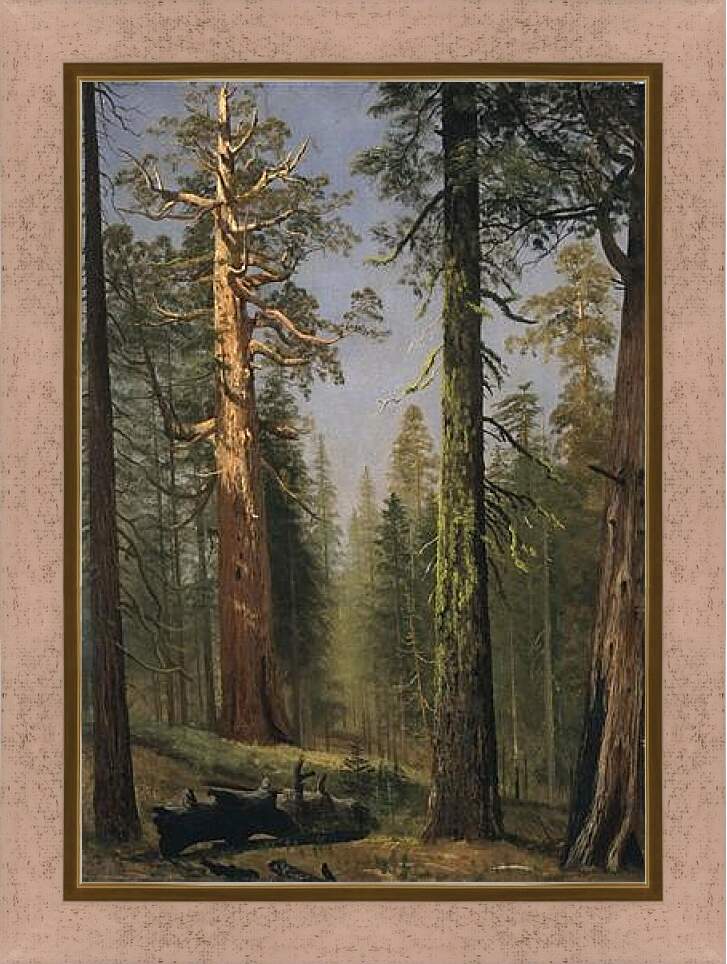 Картина в раме - The Grizzly Giant Sequoia, Mariposa Grove, California. Альберт Бирштадт