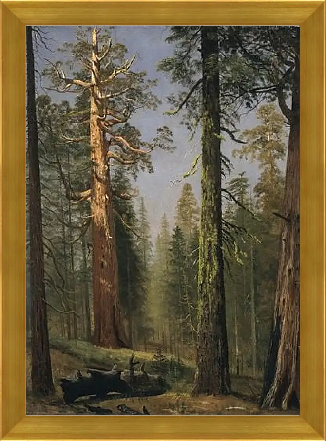Картина в раме - The Grizzly Giant Sequoia, Mariposa Grove, California. Альберт Бирштадт