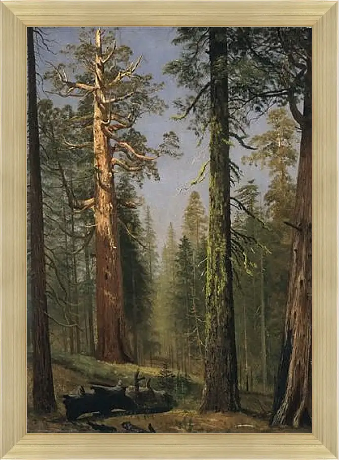 Картина в раме - The Grizzly Giant Sequoia, Mariposa Grove, California. Альберт Бирштадт