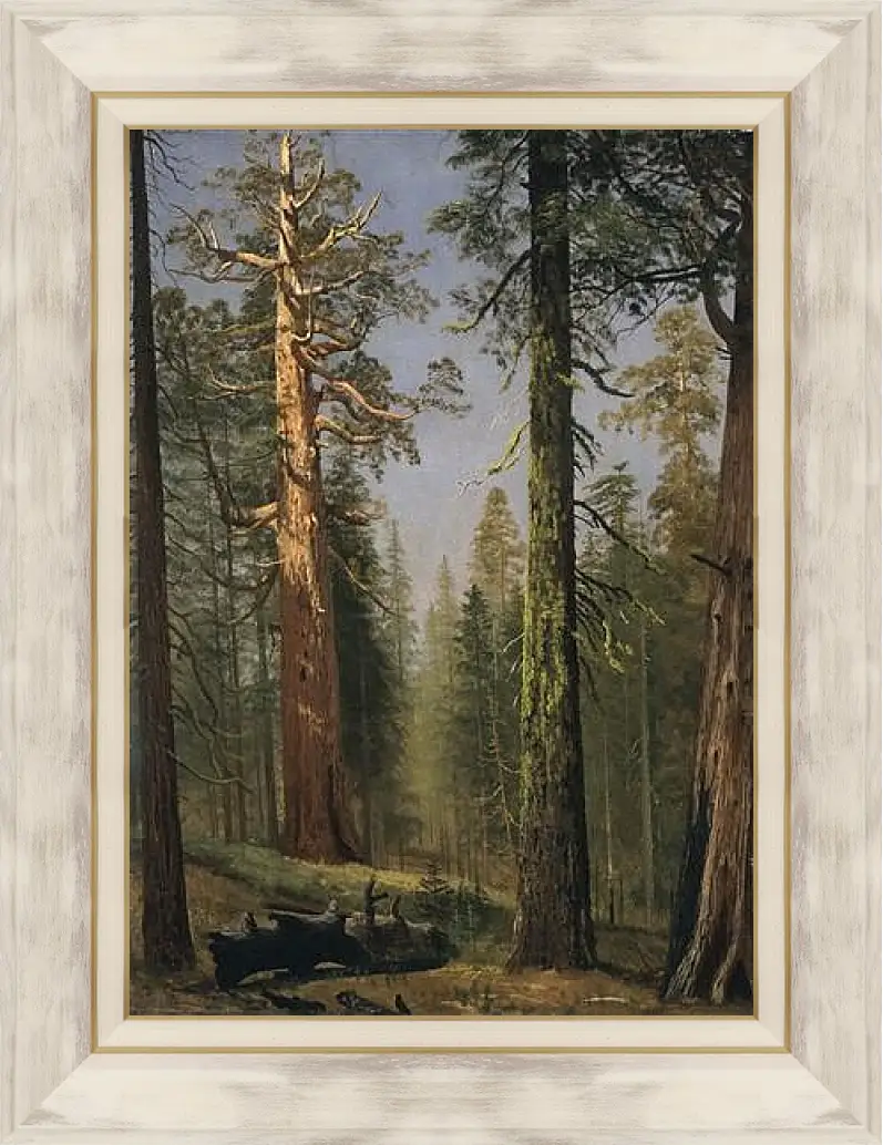 Картина в раме - The Grizzly Giant Sequoia, Mariposa Grove, California. Альберт Бирштадт