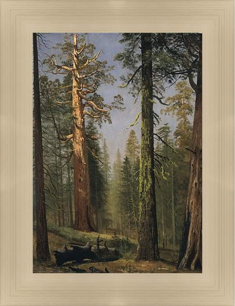Картина в раме - The Grizzly Giant Sequoia, Mariposa Grove, California. Альберт Бирштадт