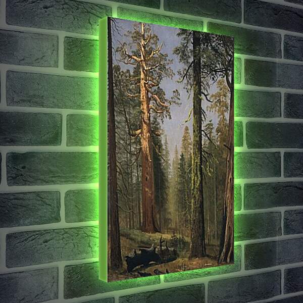 Лайтбокс световая панель - The Grizzly Giant Sequoia, Mariposa Grove, California. Альберт Бирштадт
