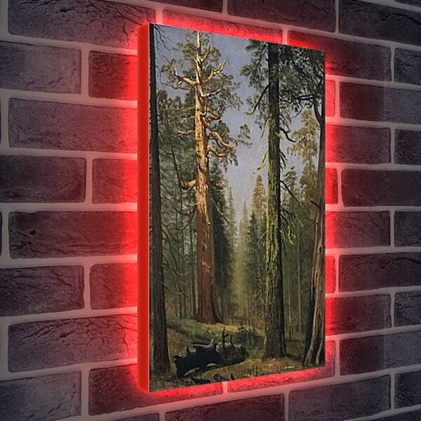 Лайтбокс световая панель - The Grizzly Giant Sequoia, Mariposa Grove, California. Альберт Бирштадт