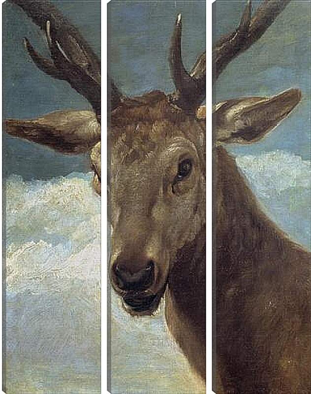 Модульная картина - Head of a Buck. Диего Веласкес