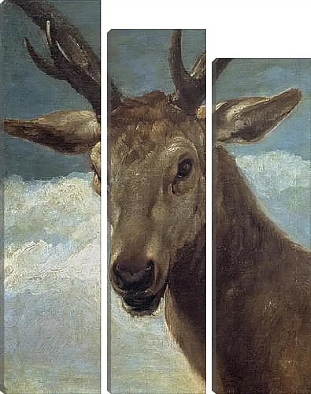 Модульная картина - Head of a Buck. Диего Веласкес