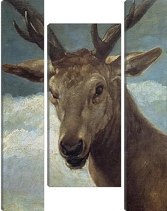 Модульная картина - Head of a Buck. Диего Веласкес