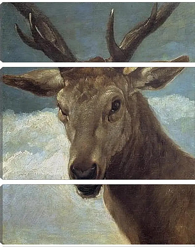 Модульная картина - Head of a Buck. Диего Веласкес