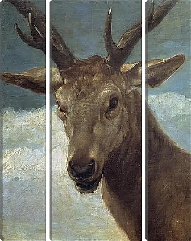 Модульная картина - Head of a Buck. Диего Веласкес