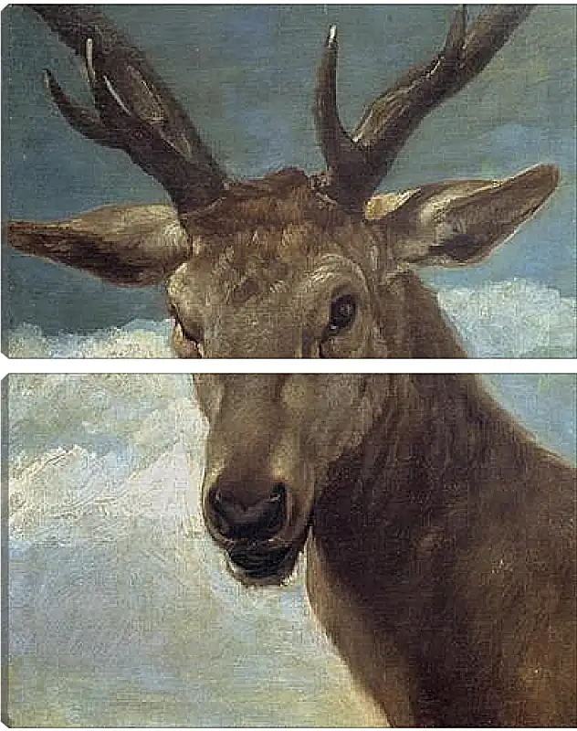 Модульная картина - Head of a Buck. Диего Веласкес