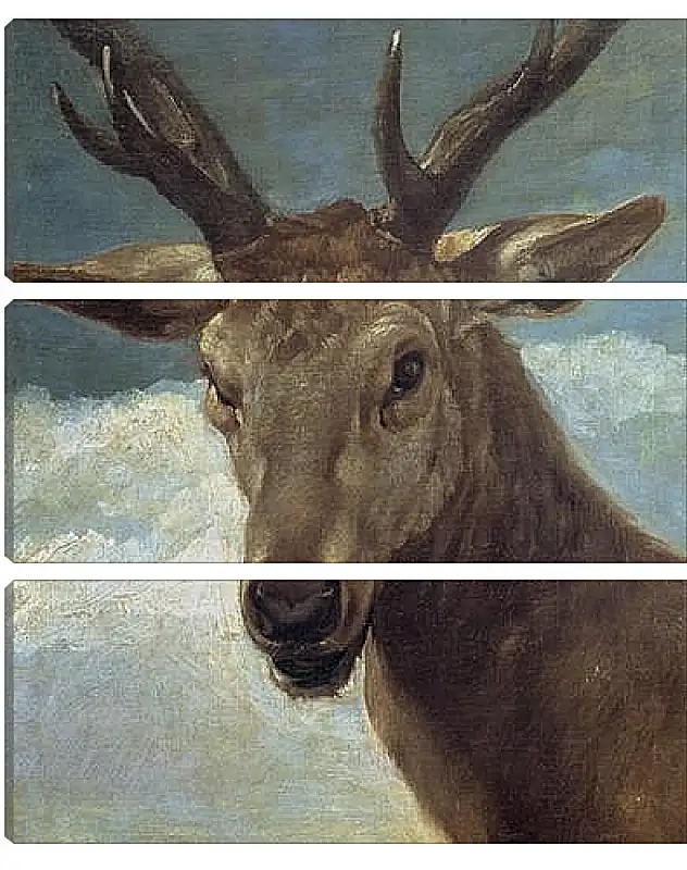 Модульная картина - Head of a Buck. Диего Веласкес