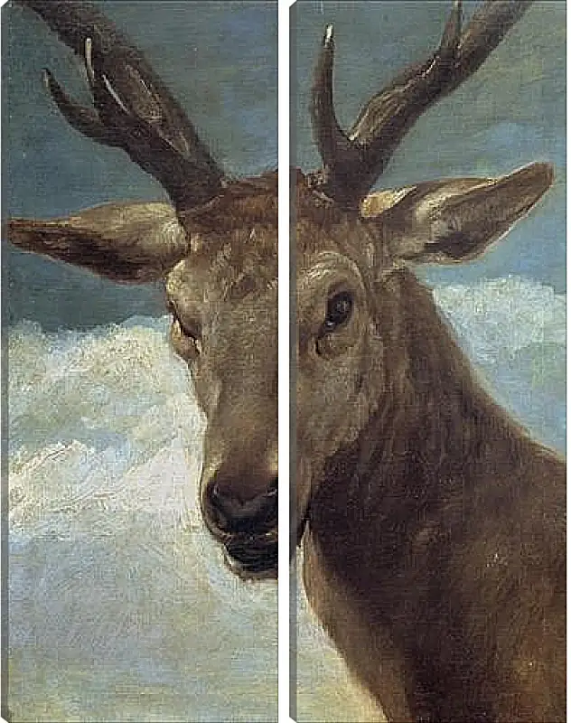 Модульная картина - Head of a Buck. Диего Веласкес