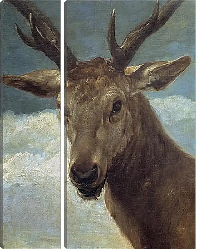 Модульная картина - Head of a Buck. Диего Веласкес